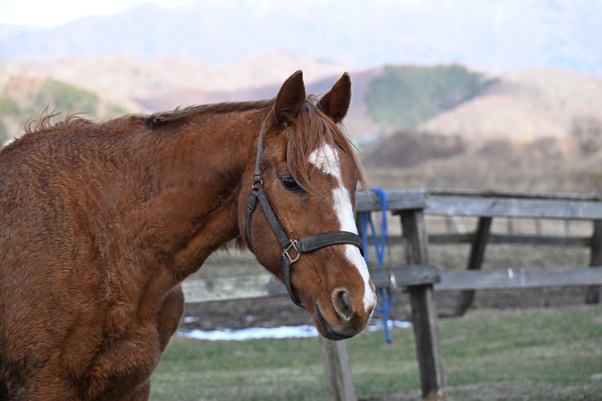 eacd2249591b3796933c45d5024375fd-1765827158.jpg eacd2249591b3796933c45d5024375fd-1765827158.jpg